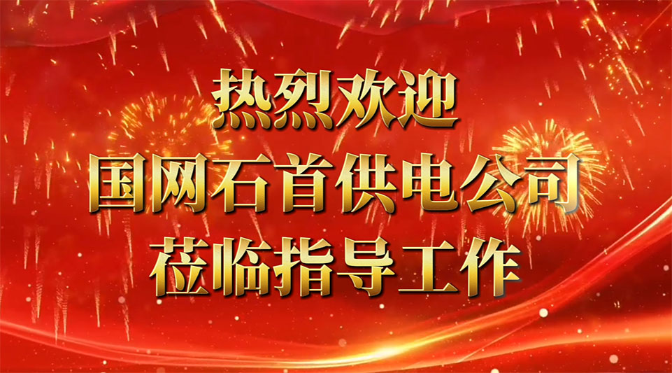 熱烈歡迎國網(wǎng)石首供電公司領(lǐng)導(dǎo)蒞臨我司考察指導(dǎo)